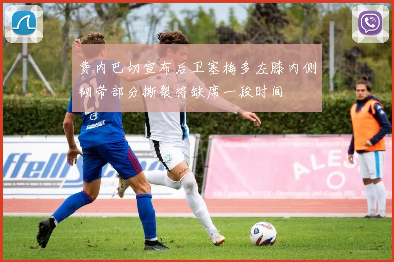 费内巴切宣布后卫塞梅多左膝内侧韧带部分撕裂将缺席一段时间
