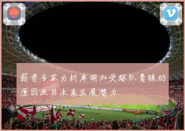 薪资专家分析库明加受球队青睐的原因及其未来发展潜力