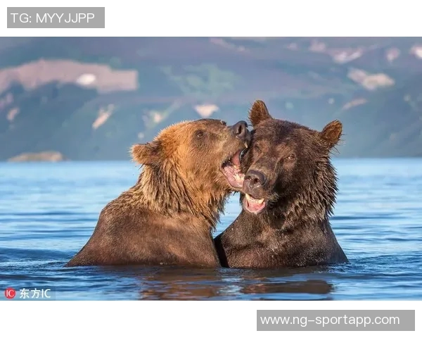 张伯霖分享摇篮舞庆祝喜讯家中爱犬迎来两只可爱小狗出生 张伯霖分享摇篮舞庆祝喜讯家中爱犬迎来两只可爱小狗出生